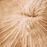 Freya Sterling Silver Pearl necklace